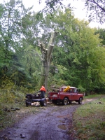 4th October 2008 037